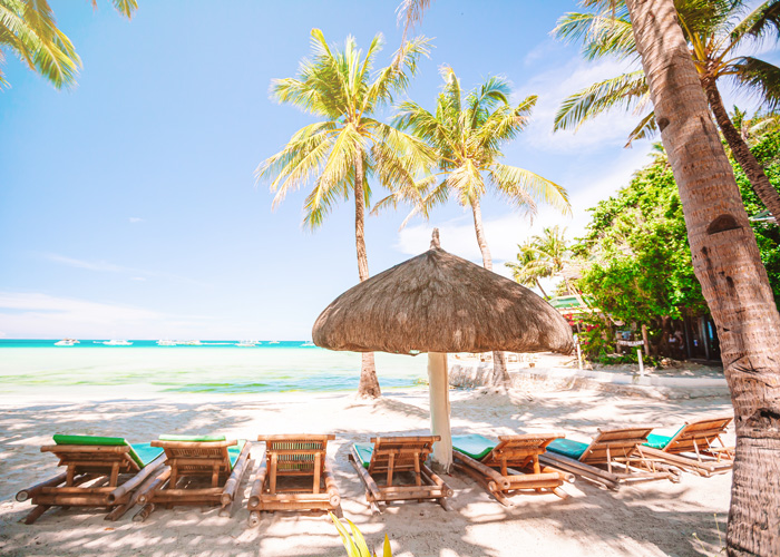 Coconut Palm tree on the sandy beach in the Bahamas