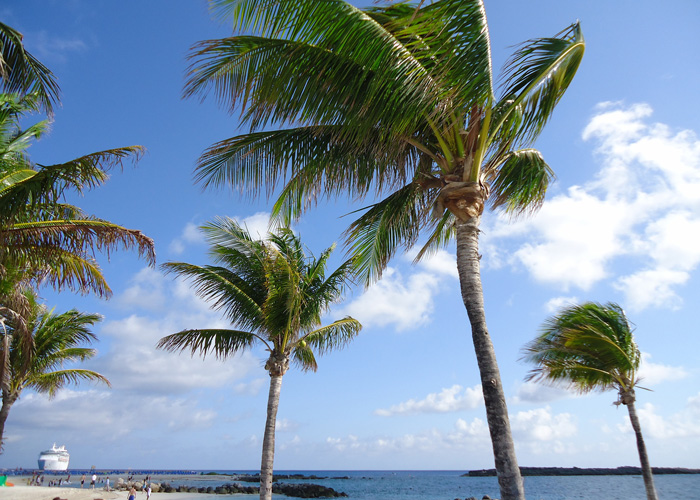 Cruise ship stop in the Bahamas to spend the day on the beach full of swaying palm trees