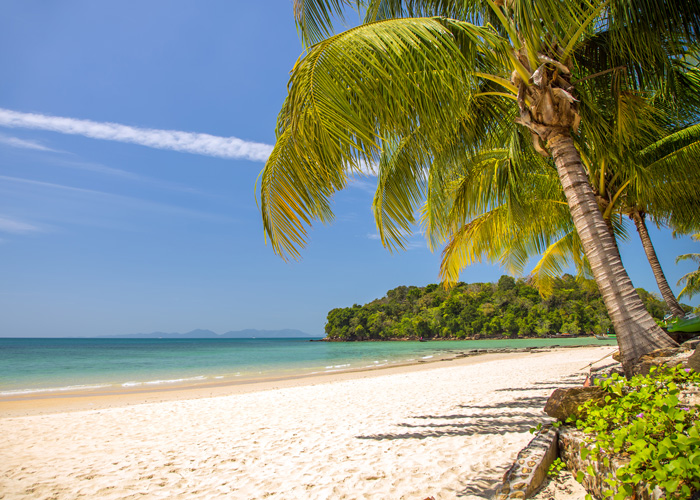 View of nice tropical beach with palm trees in the Bahamas